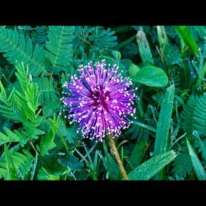 Meet your Posher, Michele